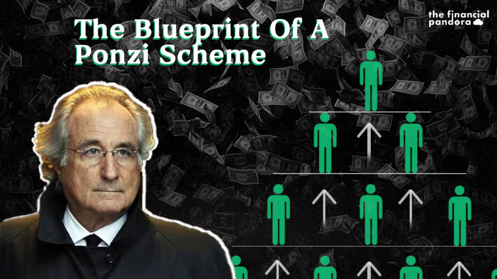 The Blueprint of a Ponzi Scheme Web Comp